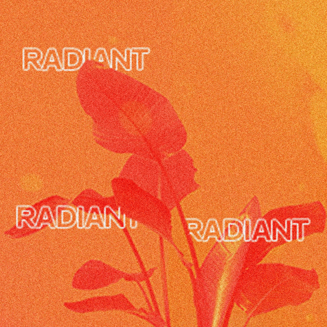⋆Radiant (Analog Lab Bank + One Shots)